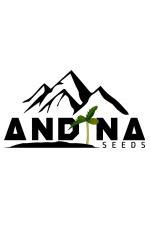 Channel Kush (Andina Seeds) :: Cannabis Strain Info.